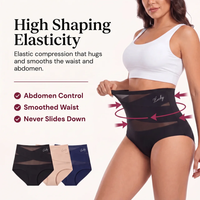 Thea high waisted shaping brief detail
