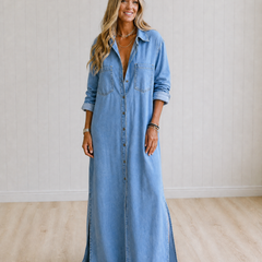 Dahlia Denim Button Down Dress