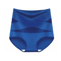 Thea high waisted shaping brief in blue